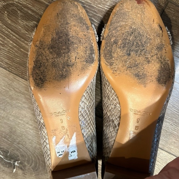 Coach Snakeskin Pumps - Picture 7 of 12